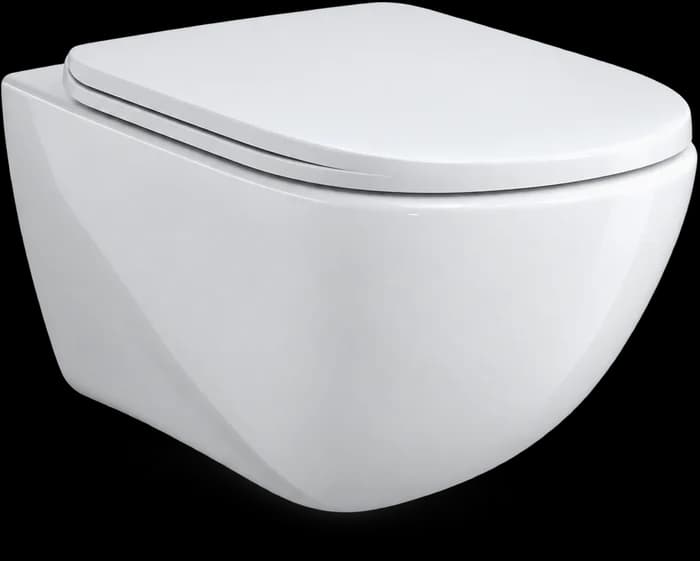 Wall Hung Commode